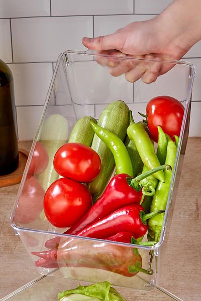 EWs 3-Piece Refrigerator Organizer & Refrigerator Organizer 6 Lt