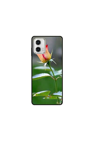 Atlas Husa personalizata Samsung Galaxy S24 Plus, Antlers, multicolor, S1D1M0303