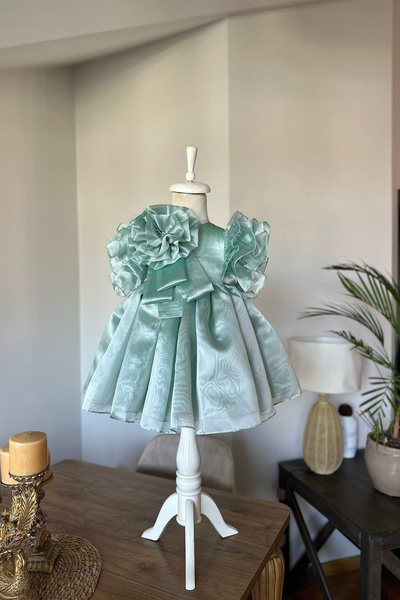 Mialora Special Design Girl's Dress, Flower and Pearl Detail, Ruffle Sleeves, Crown Accessories