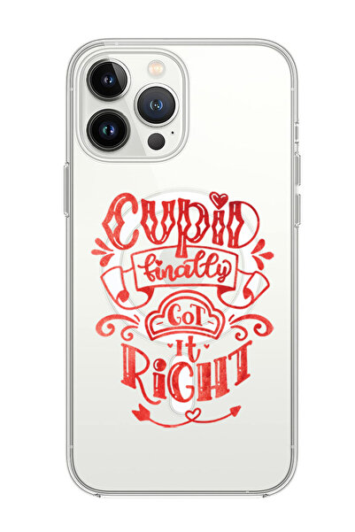 Theodor حافظة لجهاز iPhone 13 Pro Max متوافقة مع MagSafe، غطاء مقاوم للصدمات،...