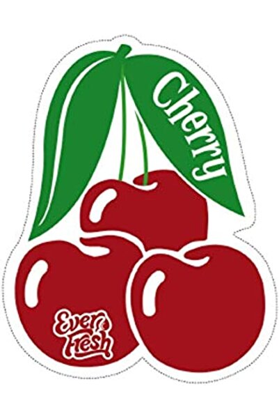 erorex Paper Card Mirror Hanging Cherry 1