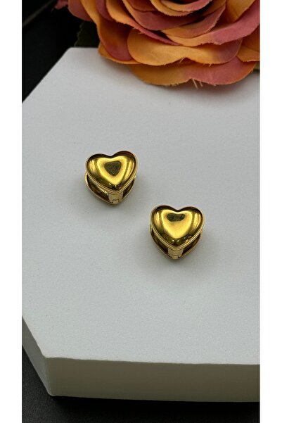 Çelik Heart Model Earrings