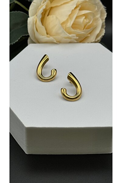 Çelik Oval Design Earrings