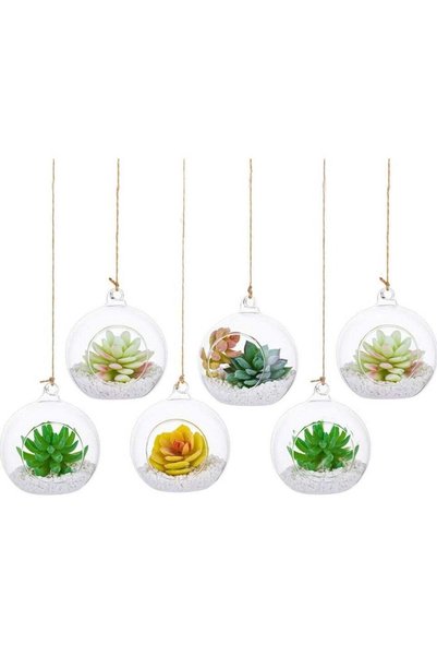 Generic 6 Pcs Hanging Glass Globes Planter Big Opening Air Fern Plants Vase H...