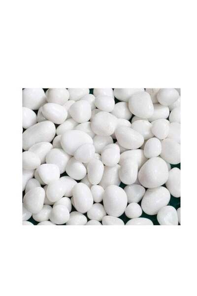 Generic Schmick Schmick 1 Kg Polished White Pebbles Stones for Plant pots, Aquarium/Fish Tank, Decorations,
