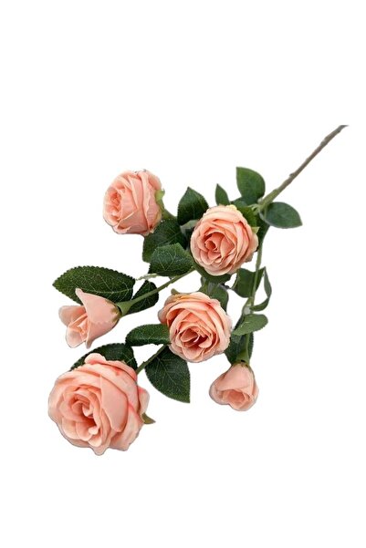 Generic Pack Of 2 Artificial Roses for Home Decoration Light Orange