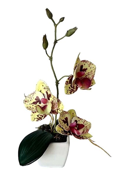 Generic Artificial Phalaenopsis Whiskers Mini Potted Beauty Yellow
