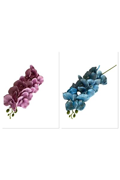 Generic Pack Of 2 Silk-Screen Phalaenopsis Elegance: Artificial Floral Decor ...