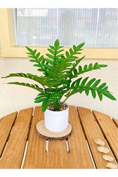 Generic 1-Piece Artificial Plant with Pot for Home Garden Decor Green/White 2...
