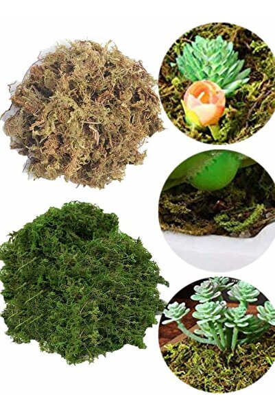 Generic 100g Dark Green and 100g Grass Green Artificial Moss Fake Green Grass...