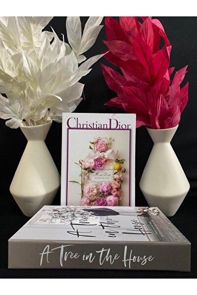 DecoZel Decorative Book Box Set of 2