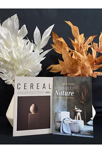 DecoZel Decorative Book Box Set of 2