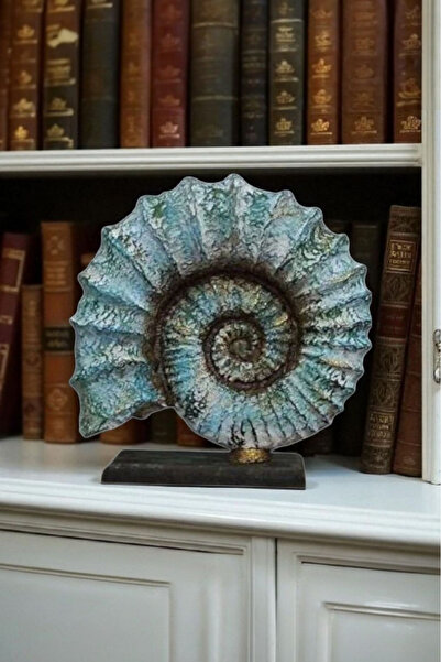 Harmoni Art Dekoratif Salyangoz Biblo