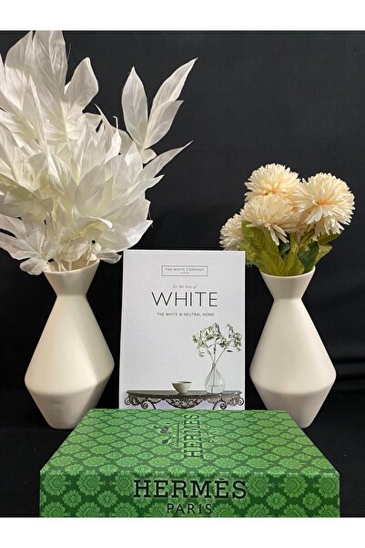 DecoZel Decorative Book Box Set of 2