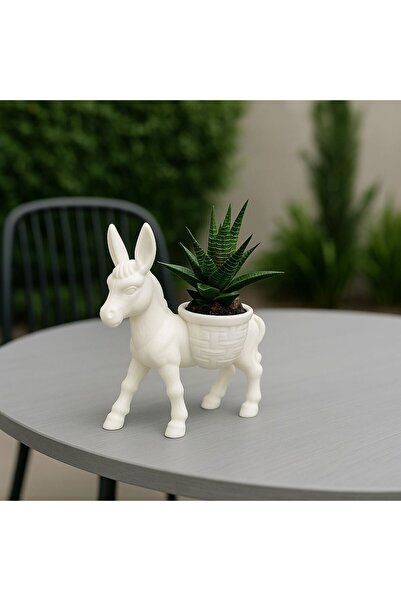 NOVATECH İNOVASYON DONKEY Sukulent & Kaktüs Dekoratif Saksı