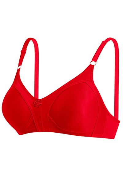 Ebru Jarse Shardless Wireless Shaping Minimizer Bra EBR1003