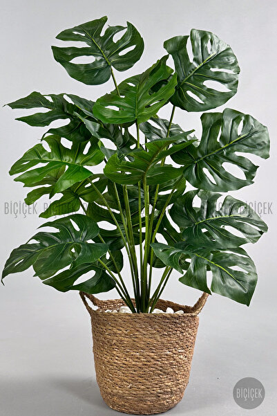 BİÇİÇEK Yapay Monstera Deve Tabanı 65-70 cm