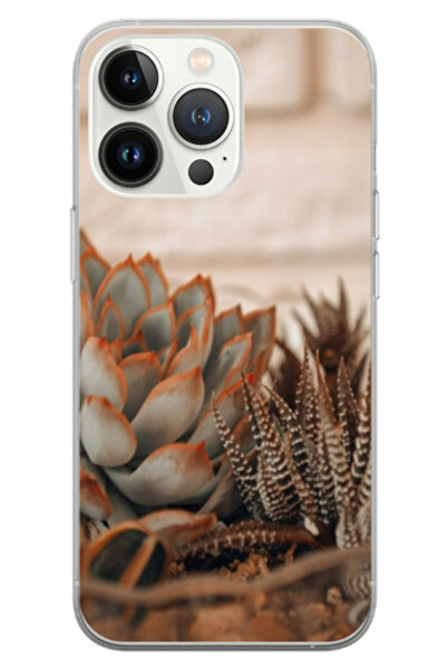 Atlas Husa personalizata 360 de grade pentru Apple iPhone 13 Pro Max, Flowers...