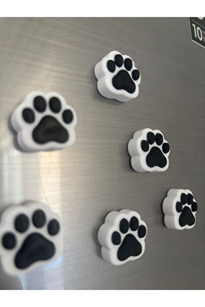 3DekorPusula Pati Magnet seti/6 Renk magnet/Pati model buzdolabı süsü/6 lı