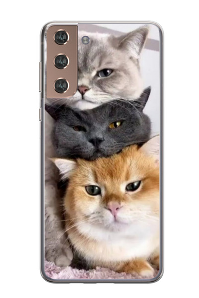 Atlas Husa personalizata 360 de grade pentru Samsung Galaxy S21 Plus, Cats, S...