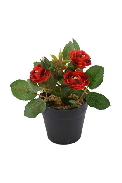 DRAMA HOME نبات صناعي متعدد الألوان في وعاء 16×9 سم