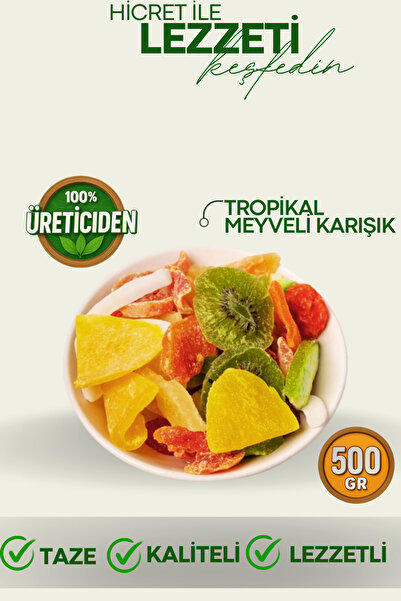Hicret Kuruyemiş Tropikal Meyveli Karışık - 500 Gr
