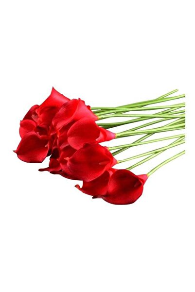 Generic 10-Piece Artificial Calla Lily Flower Bouquet Red/Green 13inch