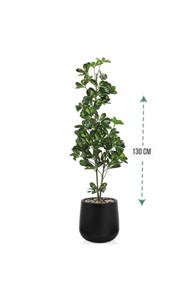 co arma Artificial Schefflera tree, height (130cm), plastic pot