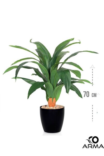 Arma An artificial tree simulating a soft corn tree, 70 cm high, in a fiber pot