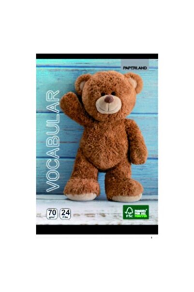 PAPERLAND Set 5 Vocabular 24 File, 70g