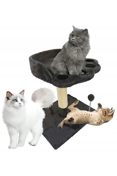 zola Cat play set, 2 levels, MDF, jute, 41.5 x 34.5 x 47.5 cm, dark grey