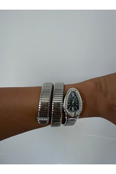 ACCESSORYHUB Silver Stone Snake Design Women's Steel Wrist Watch