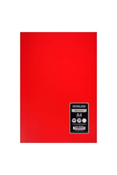 PAPERLAND Set 5 bucati caiet A4 patratele 60 file, 70g