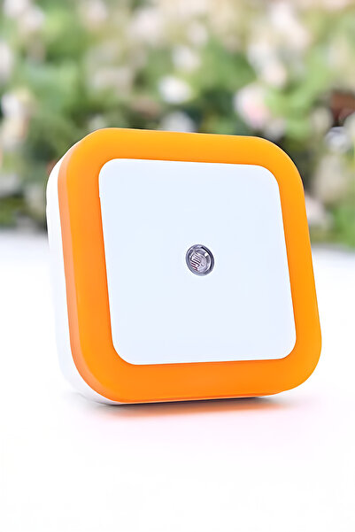 Kacar 1W Fişli Fotoselli Gece lambası Pembe Renk