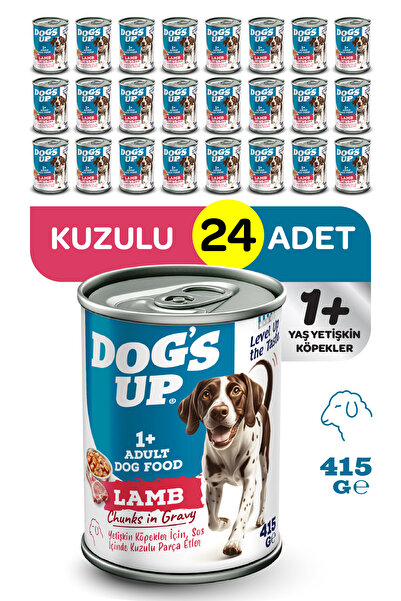 Dog's Up Dogs Up Yaş Yetişkin Köpek Maması Kuzu Etli 415gr 24Lü