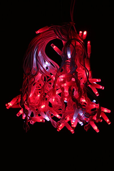 SDX Market Instalație de Crăciun 5 m x 1,5 m, Cortină cu franjuri, Roșu, 180 ...