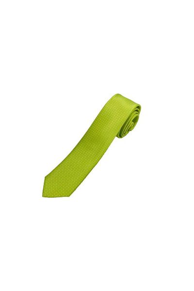 Brianze Pistachio Green Self Patterned Tie