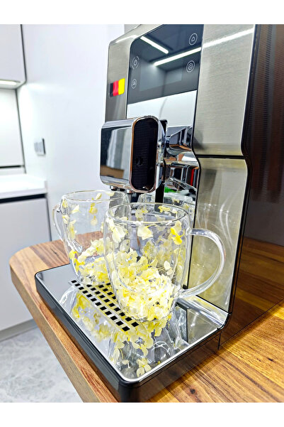 isometric 2 Adet Gerçekçi Çiçek Tasarım Çift Cidarlı Cam Kupa, Sıcak ve Soğuk İçecek Bardağı 350 ml