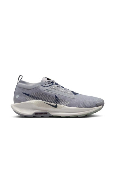 Nike Pegasus Trail 5 GORE-TEX FQ0908-006