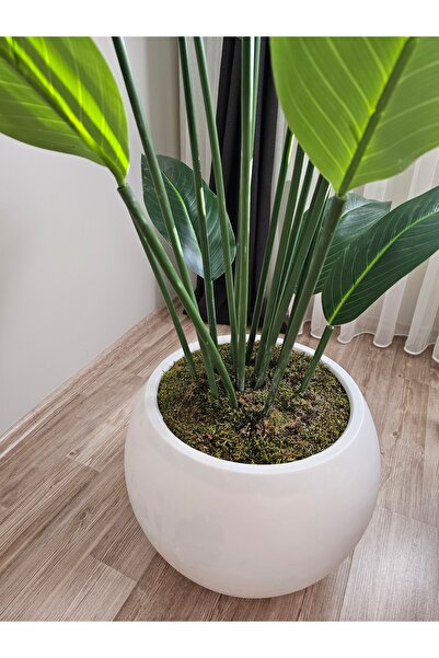 UĞURLU HOME 180 cm Islak Dokulu Yapay Starliçe Bitkisi Plastik Küre Saksılı Büyük Boy Dekoratif Saksı Çiçeği
