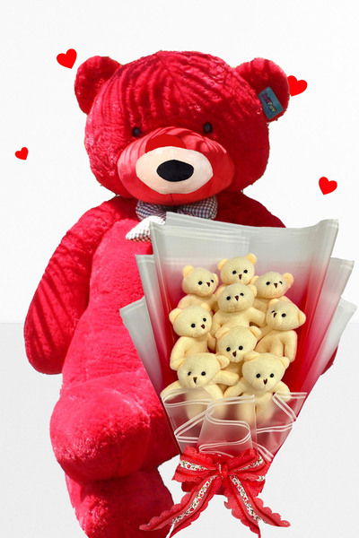 Sole 90 cm Plush Teddy Bear and 9 Piece Teddy Bouquet – Valentine's Day & Birthday Gift