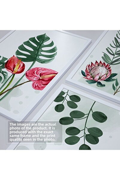 HOMEPACK Set cadru laminat alb 3 piese Pictură Hpn061