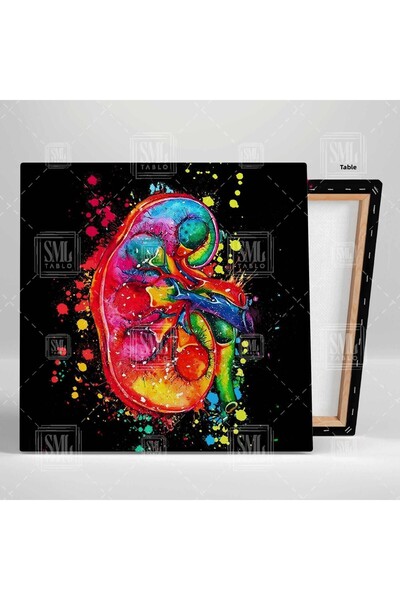 SML TABLO Ilustrație cu efect de acuarelă Pictură pe pânză pătrată de rinichi