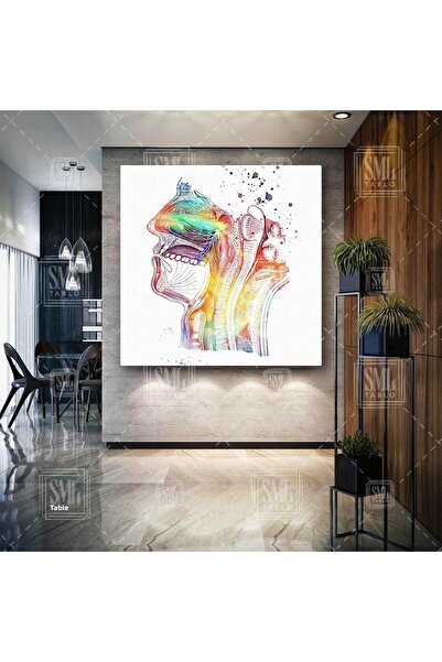 SML TABLO Inspecție urechi, nas, gât, Ent, cap colorat, raze X, pictură pătra...