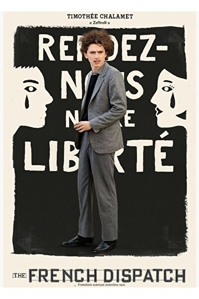 Universal Timothèe Chalamet în rolul lui Zeffirelli, tablou decorativ din lem...