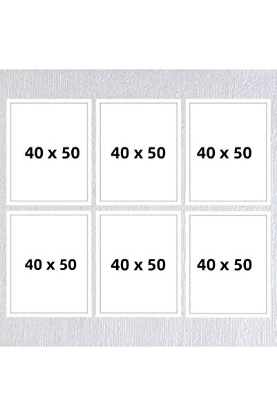 Araste إطار ستة 40x50 (بدون ملصق) - Bos1015