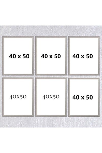 Araste إطار ستة 40x50 (بدون ملصق) - Bos1015