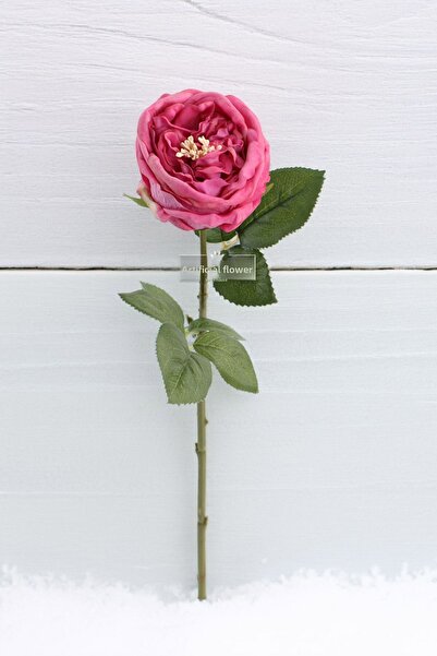 Yapay Çiçek Deposu Изкуствена луксозна мокра божура 45 см Фуксия