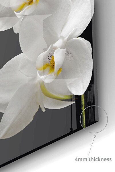 Olinpa Premium Γυάλινη Κουζίνα Προστατευτικό Πάγκο Ενσωματωμένο Προστατευτικό Πίσω Πάγκο 50x76cm | Λουλούδι μαύρο