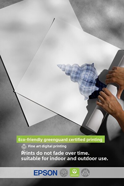 Postifull Black Framed Poster, Seashell, Illustration, Blue Color Poster, 2025 Summer Selection, No:109579